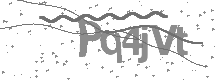 visual captcha